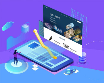 外貿B2C獨立站開發